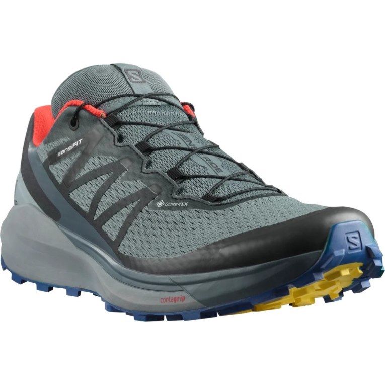 Sapatilhas Trail Running Salomon Sense Ride 4 GTX Invisible Fit Masculino Cinzentas | PT J01329